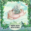 preview Skoumal Petr - Kdyby prase mělo křídla - CD