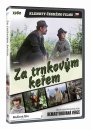 preview Za trnkovým keřem (remasterovaná verze) - DVD