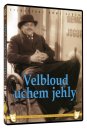 preview Velbloud uchem jehly - DVD