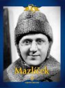 preview Mazlíček - DVD digipack