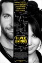 preview Silver Linings Playbook - DVD
