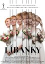 preview Líbánky - DVD