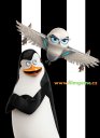 preview Tučňáci z Madagaskaru - DVD