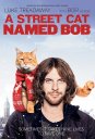 preview Kocour bob - DVD