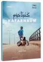 preview Kafarnaum - DVD