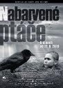 preview Nabarvené ptáče - 2DVD (DVD+DVD bonus)