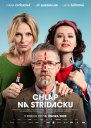 preview Chlap na střídačku - DVD