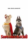 preview DC League of Super-Pets - DVD