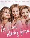 preview Za vším hledej ženu - DVD