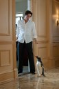 preview Mr. Popper's Penguins - Blu-ray
