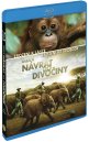 preview Born to Be Wild - Blu-ray