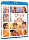 preview The Second Best Exotic Marigold Hotel - Blu-ray
