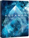 preview Aquaman and the Lost Kingdom - 4K UHD Blu-ray + Blu-ray 2BD Steelbook Icon