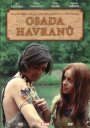 preview Osada havranů - DVD pošetka