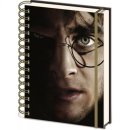 preview Zápisník Harry Potter - Voldemort 3D efekt