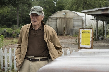 detail The Mule - Blu-ray