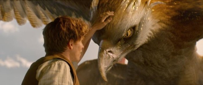 detail Fantastic Beasts and Where to Find Them - Blu-ray