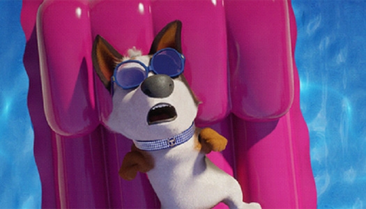 detail Psí kusy - DVD