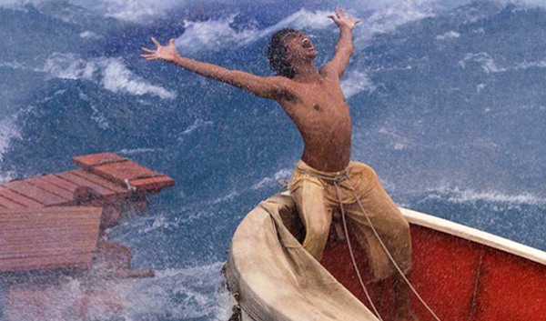 detail Life of Pi - DVD