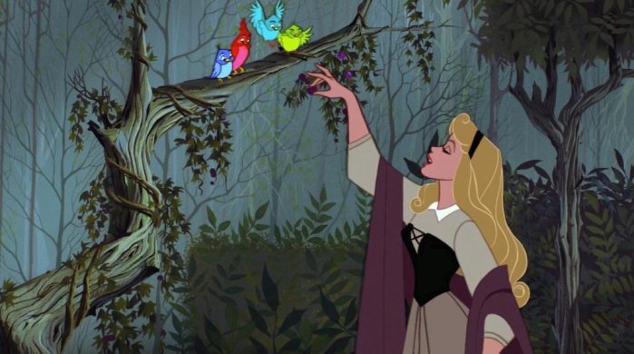 detail Sleeping Beauty - DVD