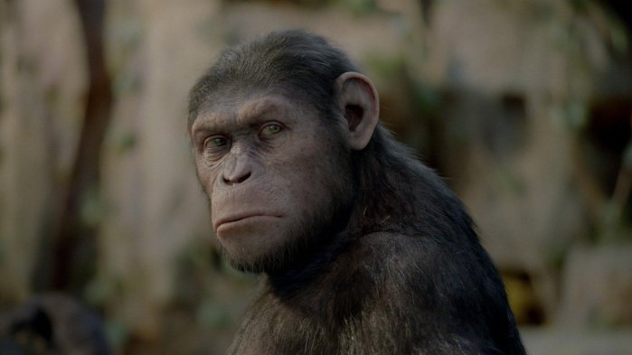 detail Rise of the Planet of the Apes - DVD