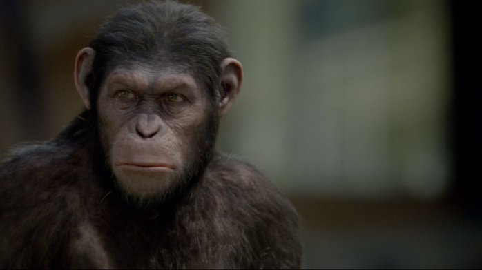 detail Rise of the Planet of the Apes - DVD