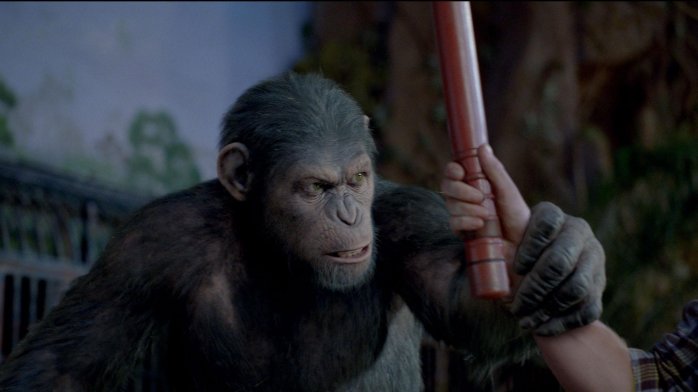 detail Rise of the Planet of the Apes - DVD