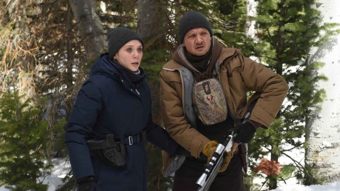 detail Wind River - DVD