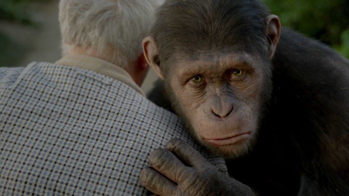 detail Rise of the Planet of the Apes - Blu-ray