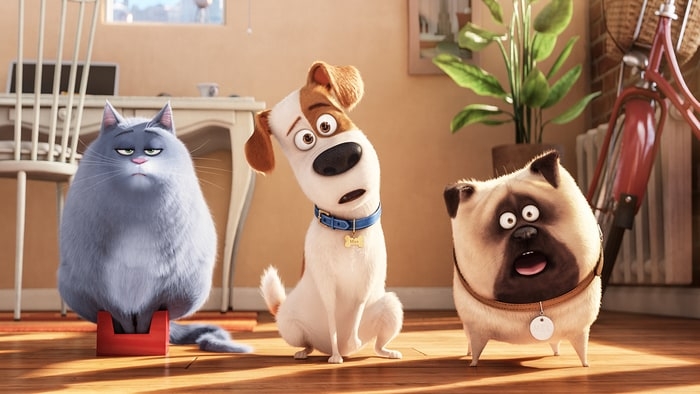 detail Tajný život mazlíčků - Blu-ray 3D + 2D (2 BD)