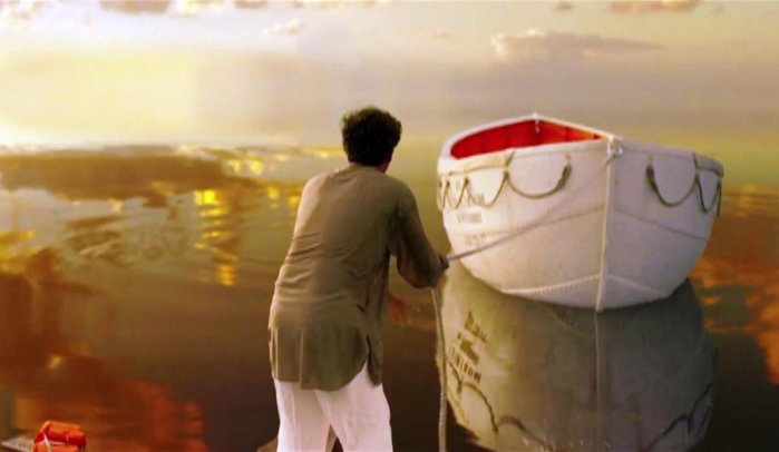 detail Life of Pi - DVD