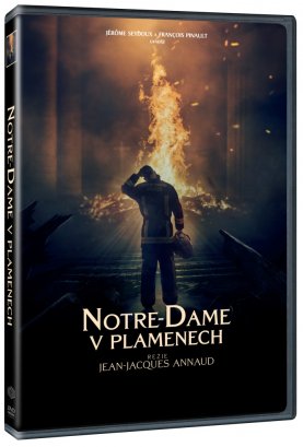 Notre Dame on Fire - DVD