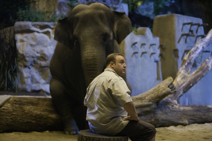 detail Ošetřovatel - DVD