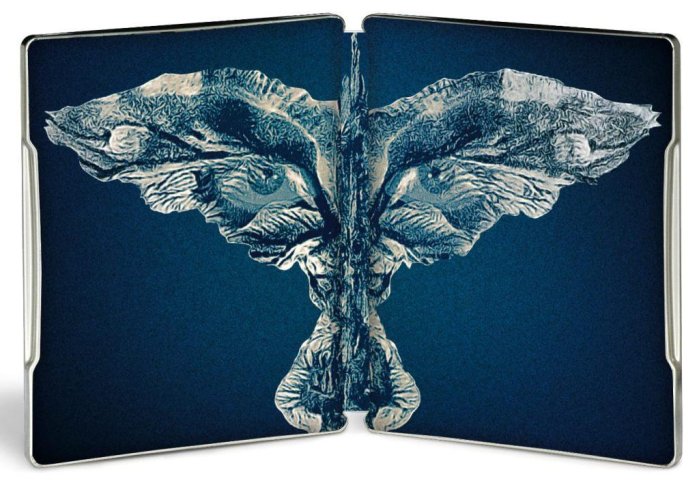 detail Vrána - 4K Ultra HD Blu-ray + Blu-ray Steelbook (bez CZ)