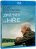 other options Trouble with the Curve - Blu-ray