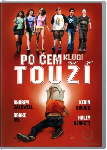 Po čem kluci touží - DVD