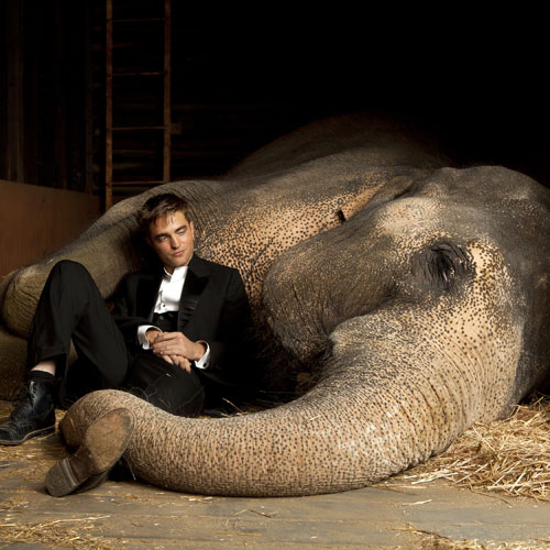 detail Water for Elephants - Blu-ray
