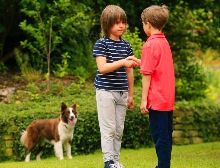 detail Kukačky - 4DVD