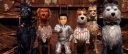 preview Isle of Dogs - Blu-ray