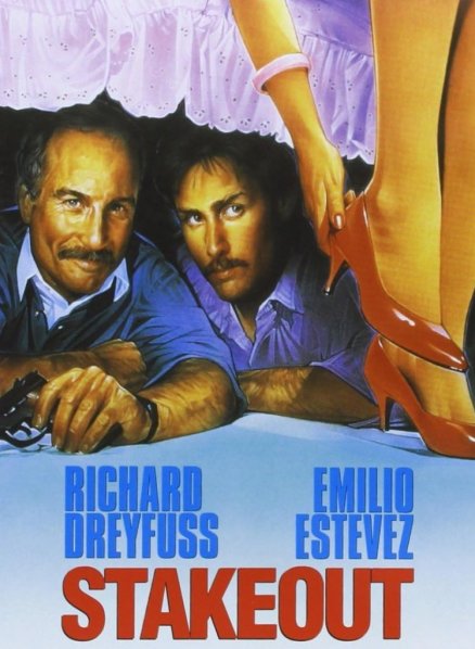detail Stakeout - DVD