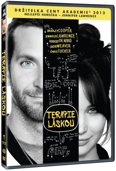 detail Silver Linings Playbook - DVD