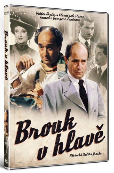 detail Brouk v hlavě - DVD