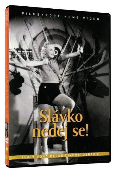 detail Slávko nedej se! - DVD