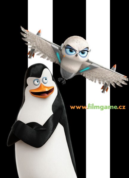 detail Penguins of Madagascar  - Blu-ray