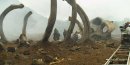 preview Kong: Ostrov lebek - Blu-ray 3D + 2D