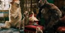 preview Dolittle - 4K Ultra HD Blu-ray + Blu-ray (2BD)
