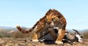preview Khumba - DVD