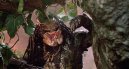 preview Predator - 4K Ultra HD Blu-ray