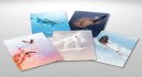 preview Dokonalá planeta - Blu-ray (bez CZ)