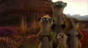 preview Khumba - DVD
